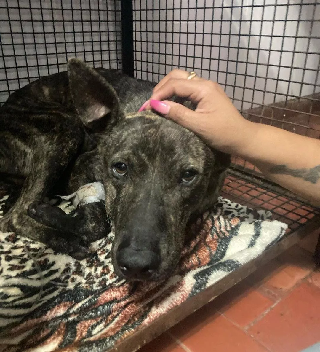 WhatsApp Image 2022-08-08 at 9.44.36 AM