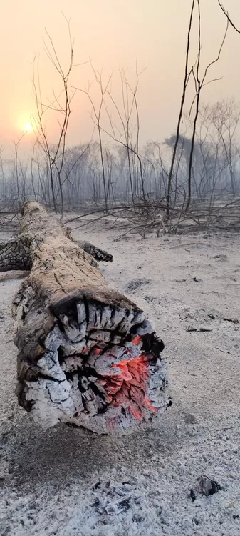 SAVE_20220909_185243