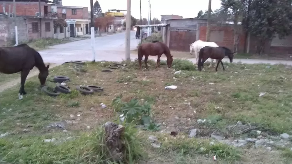 WhatsApp Image 2022-05-26 at 8.37.04 AM