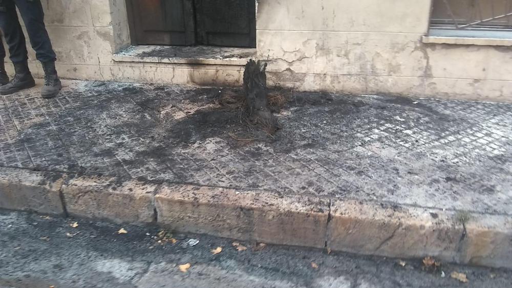 WhatsApp Image 2023-03-08 at 07.48.11