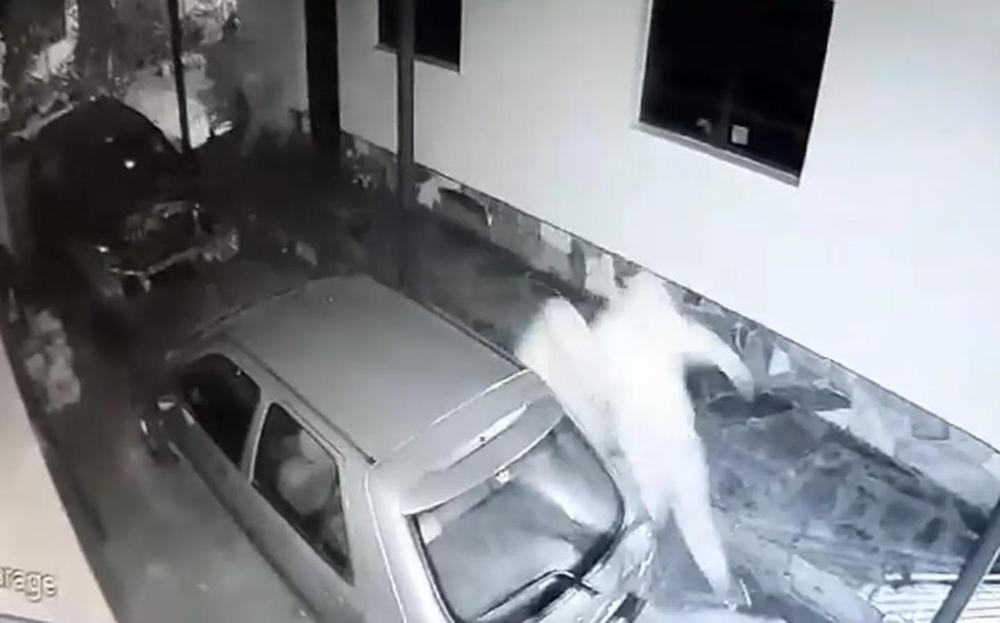 WhatsApp Image 2023-08-29 at 08.53.10