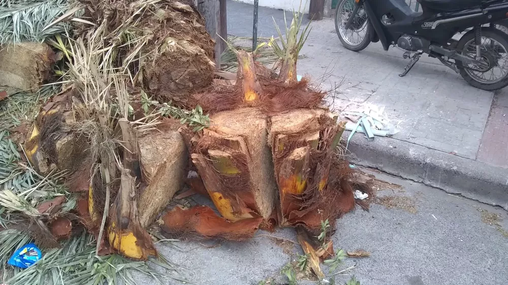 WhatsApp Image 2022-07-28 at 9.37.25 AM (1)