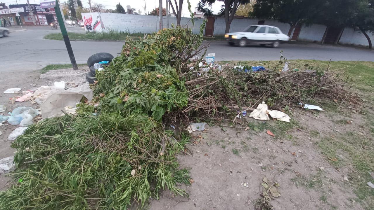 WhatsApp Image 2023-05-04 at 08.07.20