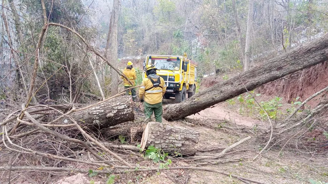 4722-incendios-forestales-en-la-provincia