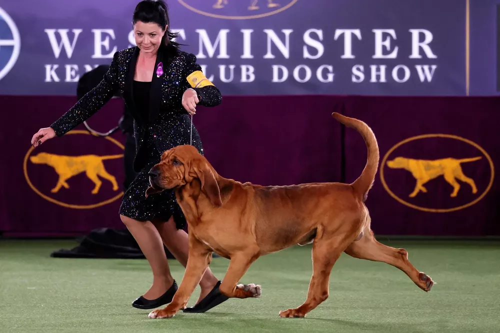 NLEBQEUPUSZAY2RSKS4HWVTHBA