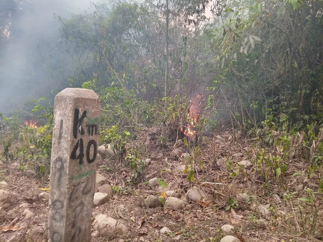 WhatsApp Image 2022-11-04 at 08.50.23