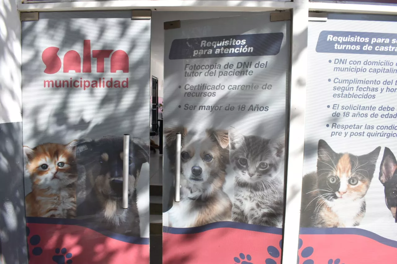 hospital-de-salud-animal-13