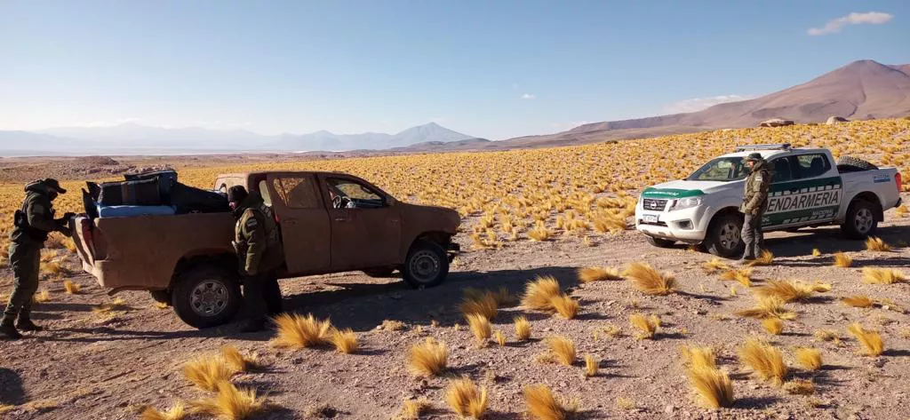 en_la_puna_saltena_interceptan_camionetas_camufladas_con_barro_luces_apagadas_y_mas_de_300_kilos_de_marihuana_10