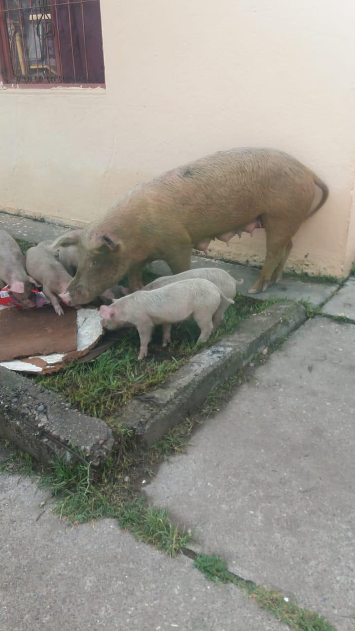 WhatsApp Image 2023-03-02 at 09.16.40