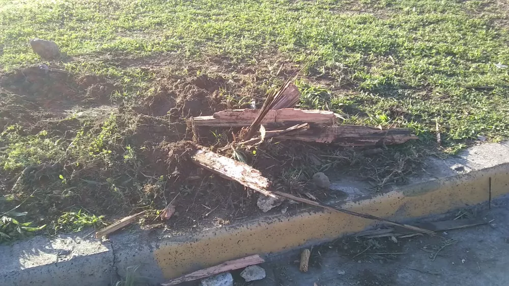 WhatsApp Image 2022-12-14 at 07.49.52