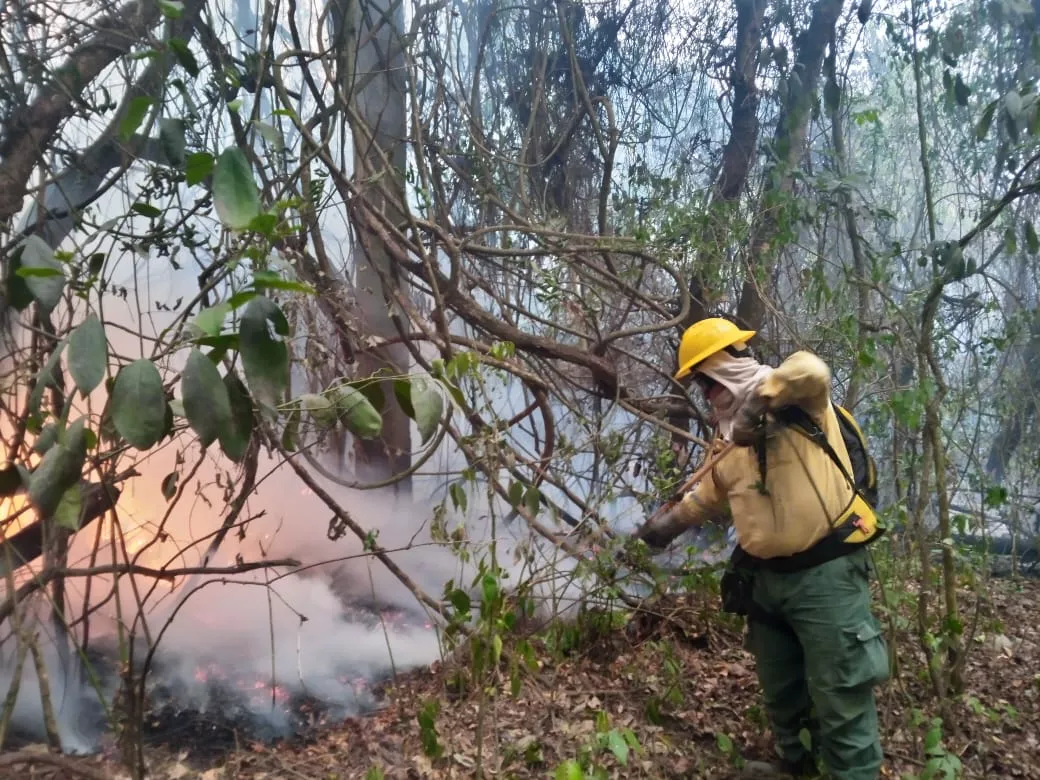 WhatsApp Image 2022-11-04 at 08.50.24