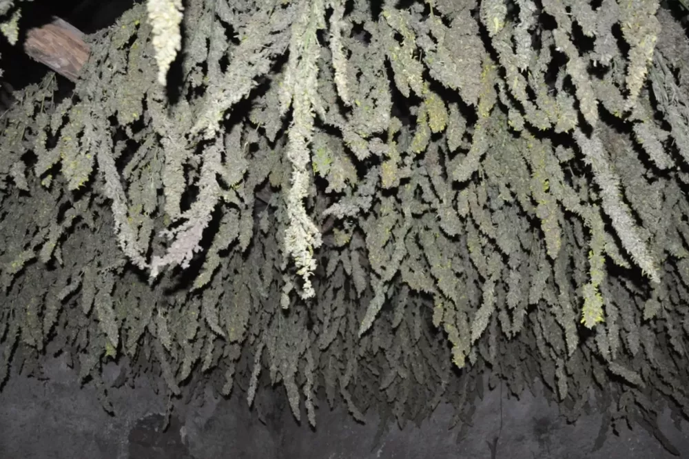 InShot_20220815_172323332