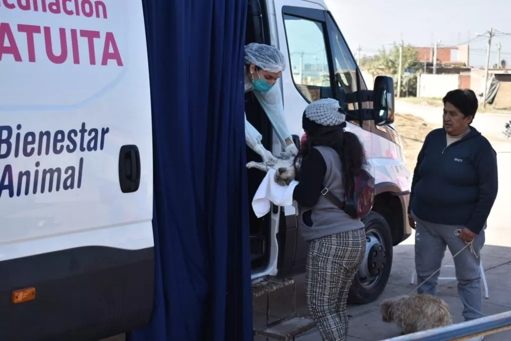 movil-quirurgico-atencion-b-1024x683