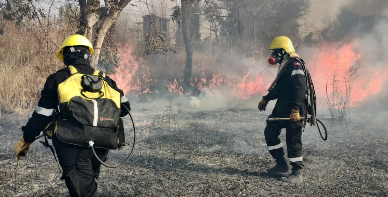 whatsapp-image-2022-08-17-at-55513-pm