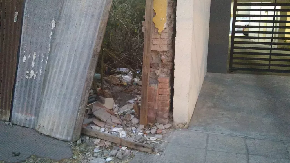 WhatsApp Image 2022-08-12 at 7.41.42 AM