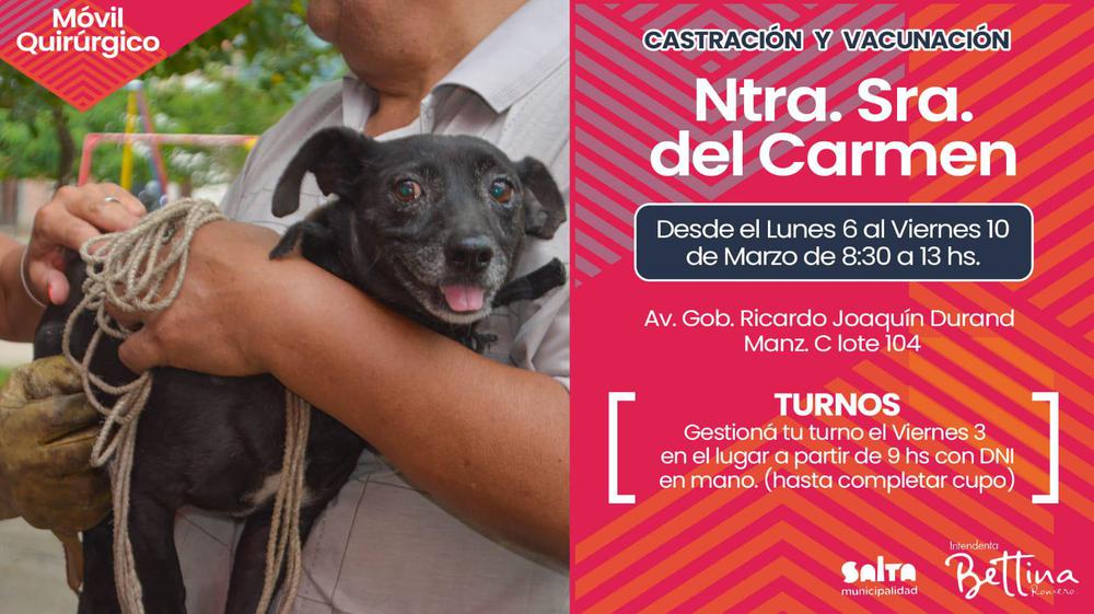 movil-quirurgico-flyer-17