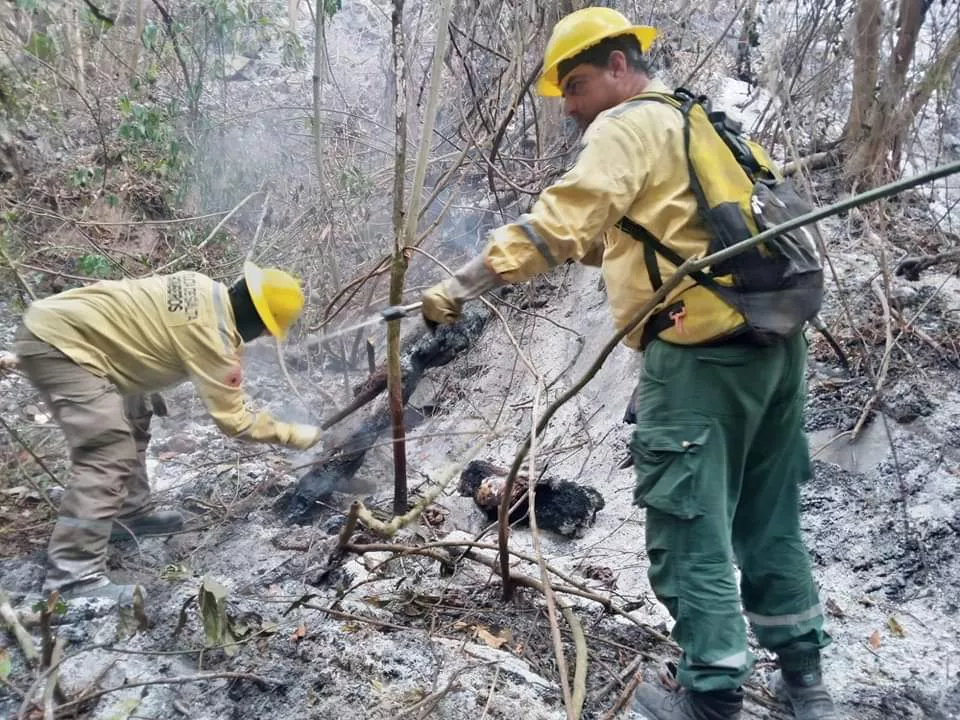 WhatsApp Image 2022-11-04 at 06.37.26