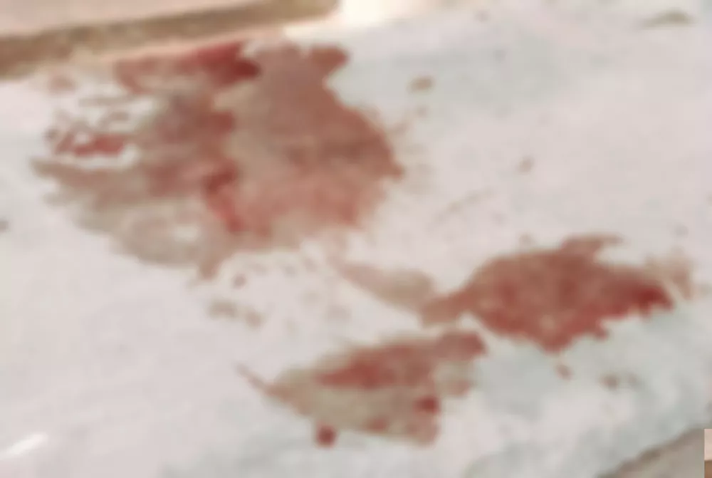 InShot_20220515_162910039