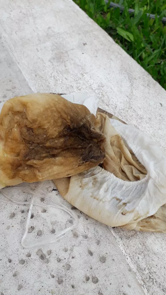 WhatsApp Image 2022-11-02 at 07.35.23