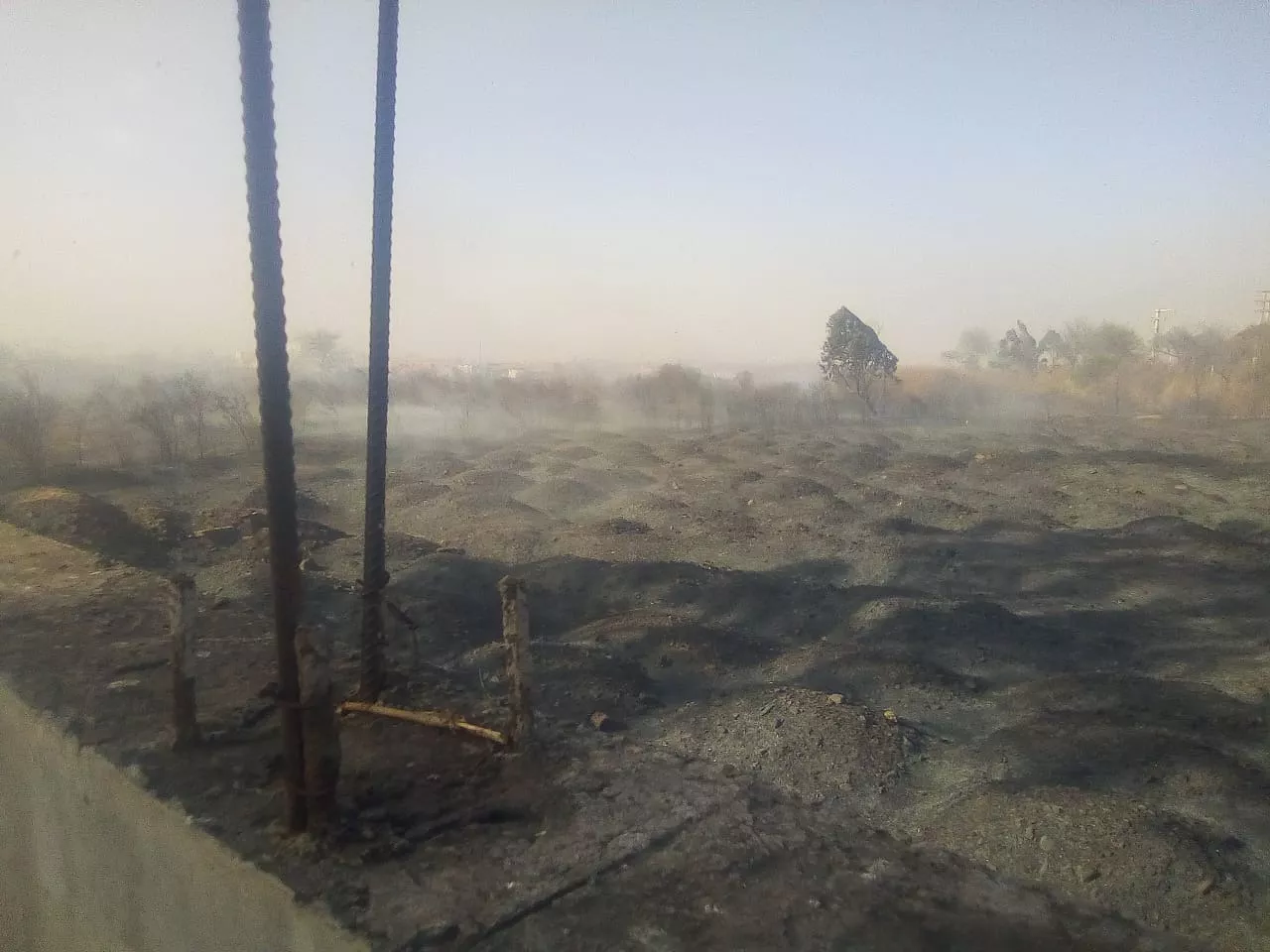 WhatsApp Image 2022-08-18 at 7.20.24 AM