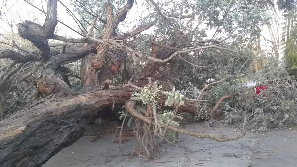 WhatsApp Image 2022-07-11 at 8.23.05 AM