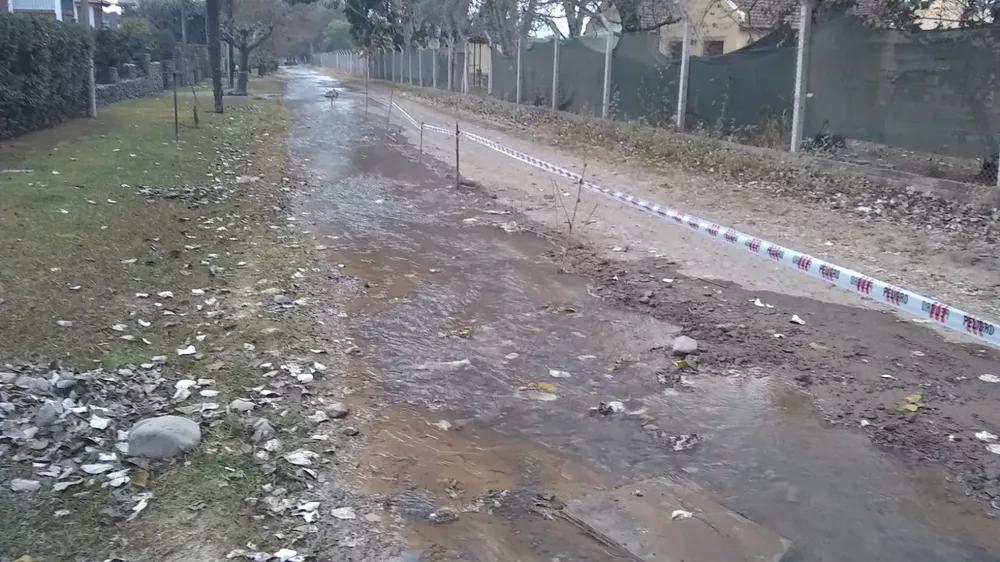 WhatsApp Image 2022-07-05 at 8.35.31 AM