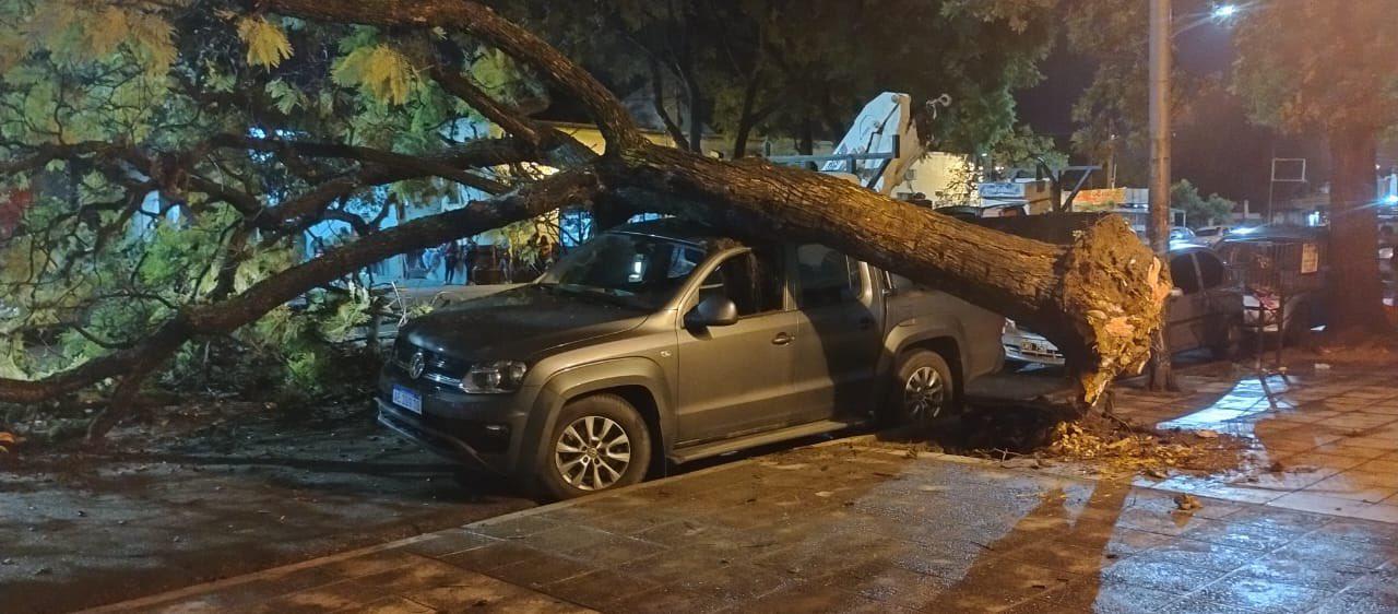 WhatsApp Image 2023-04-05 at 07.35.26