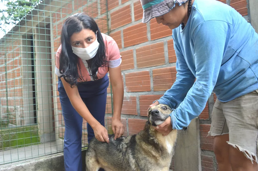 vacunacion-antirrabica-38