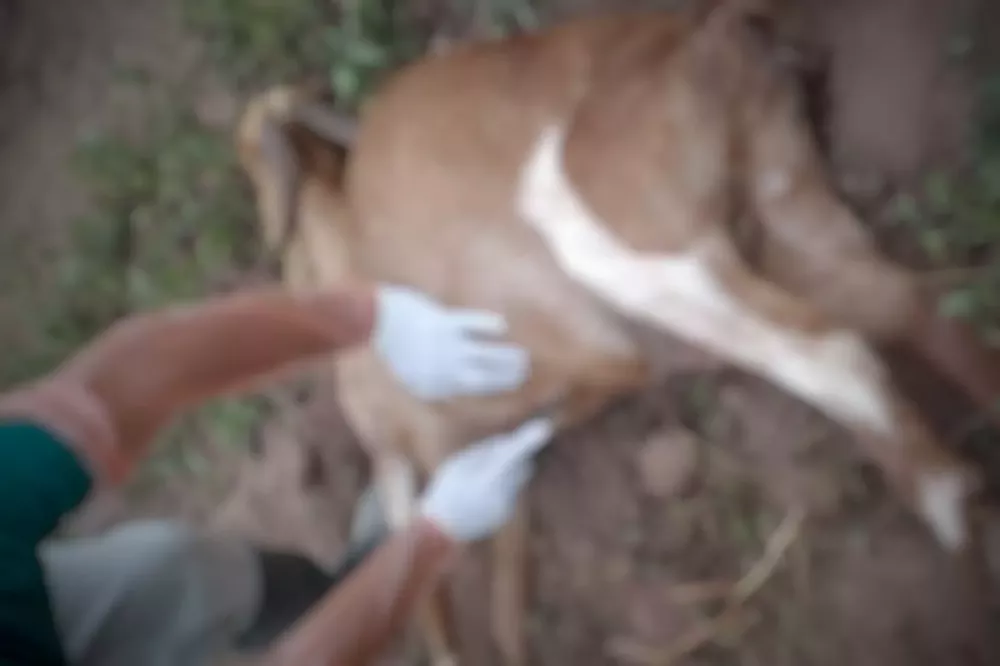 WhatsApp Image 2022-05-02 at 10.19.01 AM