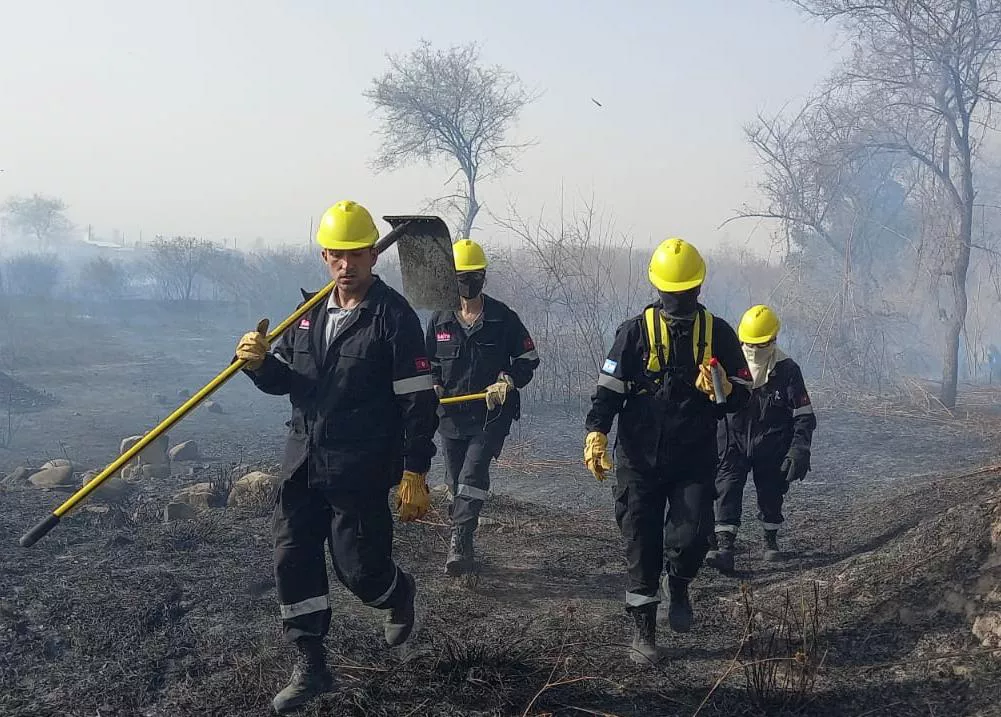 whatsapp-image-2022-08-17-at-55543-pm