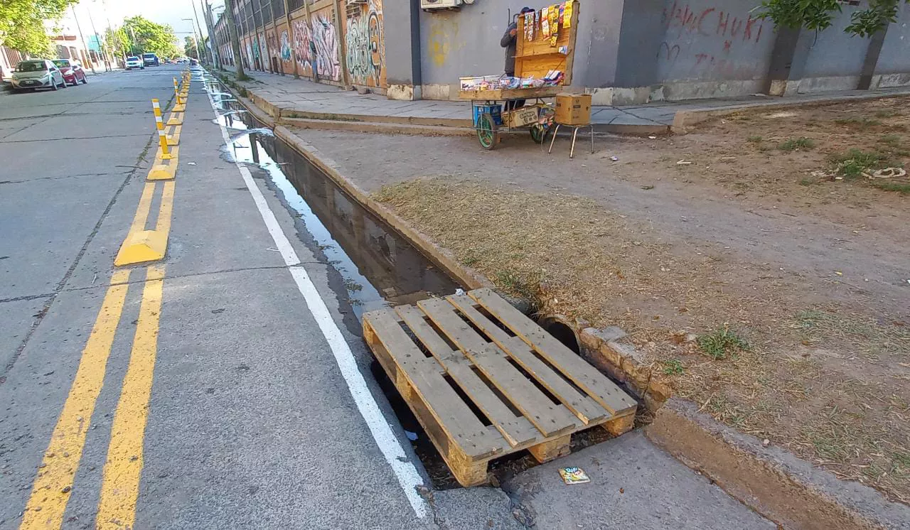 WhatsApp Image 2022-10-03 at 08.37.28