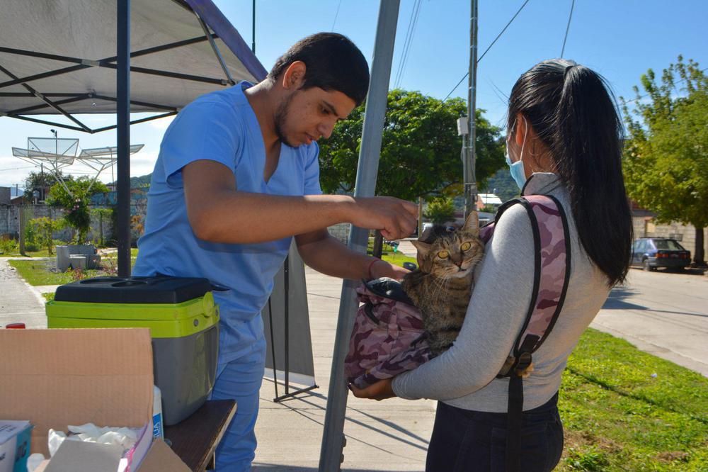 vacunacion-antirrabica-15-2048x1365