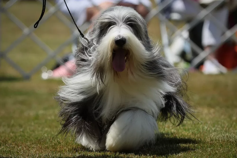 JB4CAXWDHCGSFUG3RIH6MIRM24