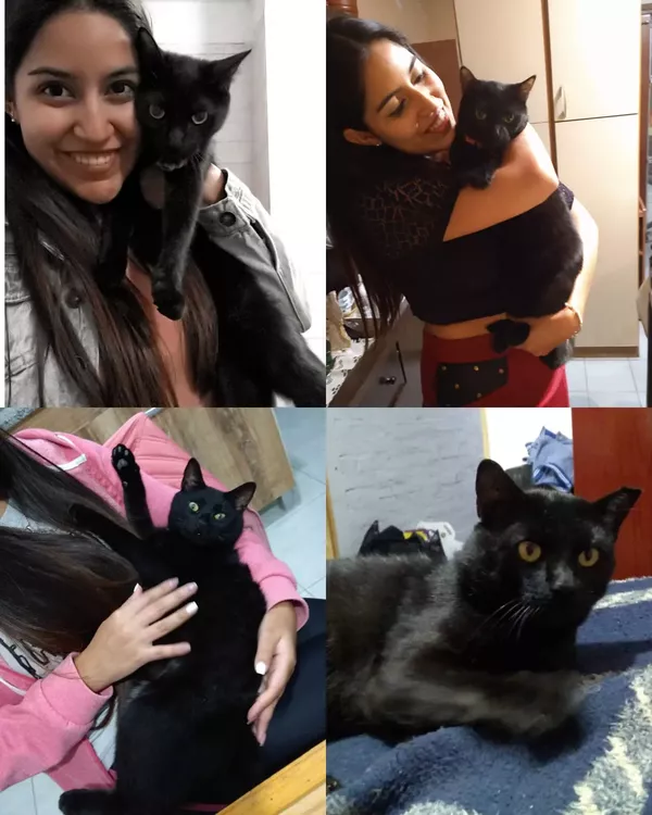 90842374-0099-49c3-815f-331764491212