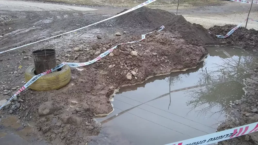 WhatsApp Image 2022-07-05 at 8.34.55 AM