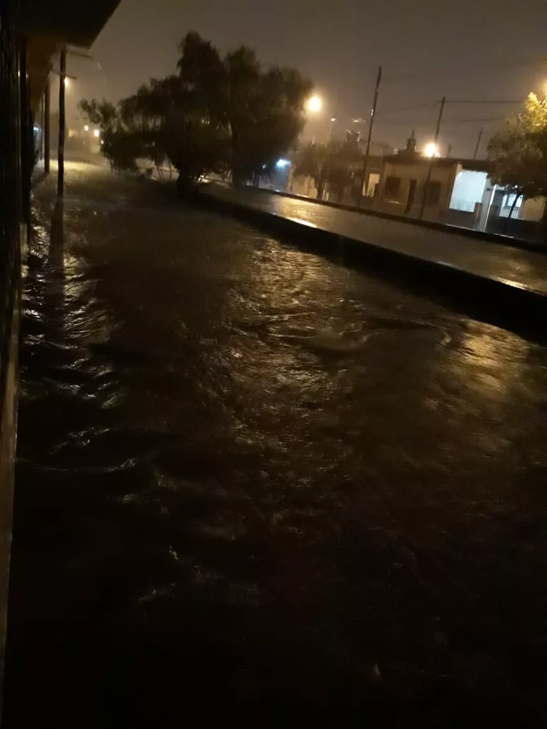 WhatsApp Image 2022-03-10 at 07.48.12