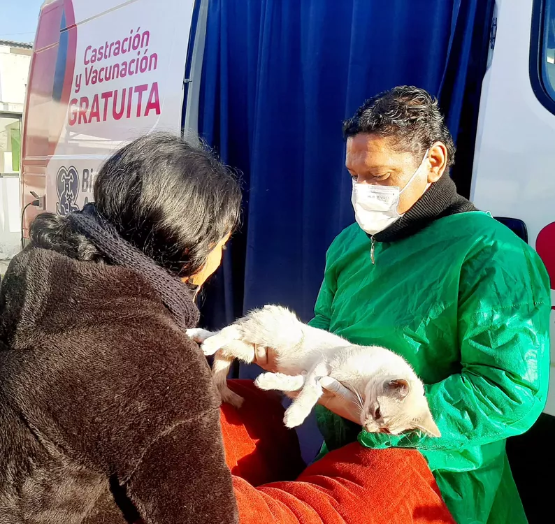 castracion3
