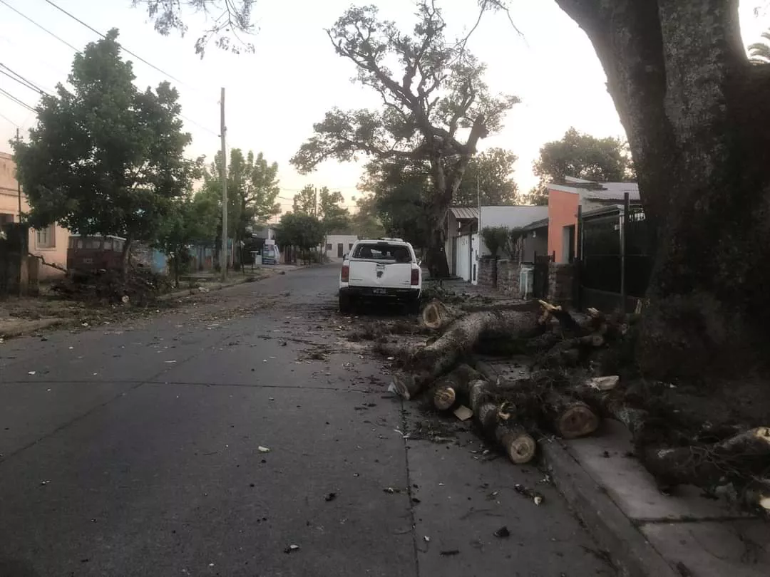 WhatsApp Image 2022-09-19 at 07.29.33