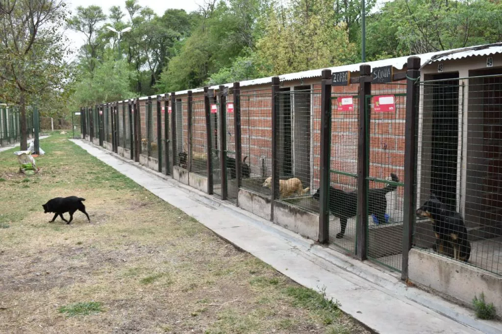 Centro-de-Adopciones-6-1024x682