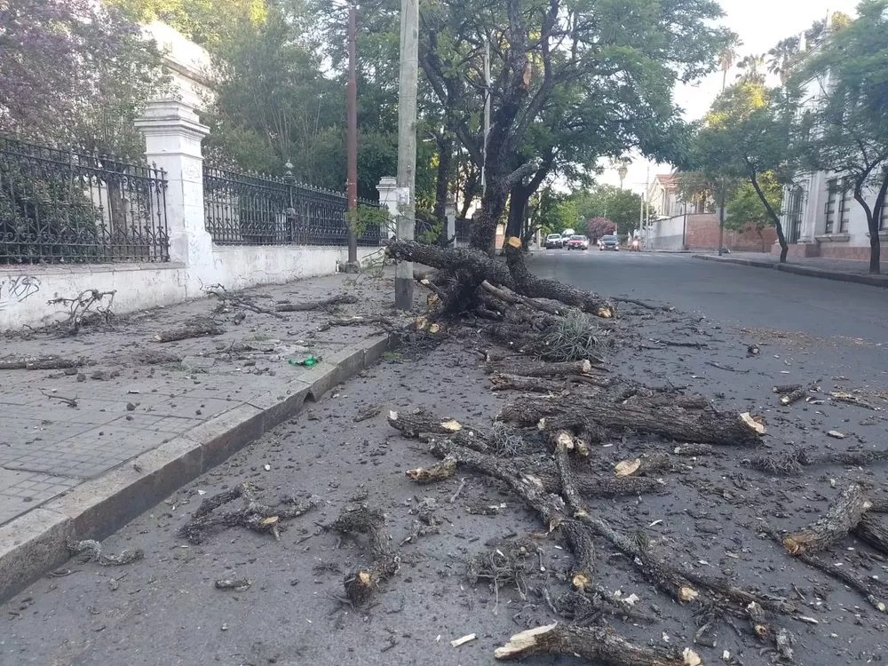 WhatsApp Image 2023-01-17 at 07.23.55 (1)