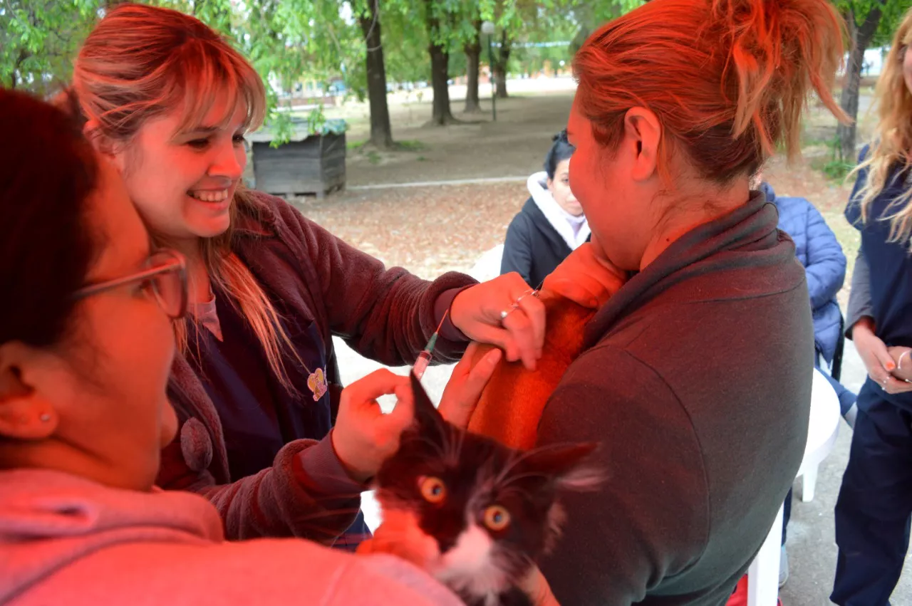 whatsapp-image-2022-10-04-at-112019