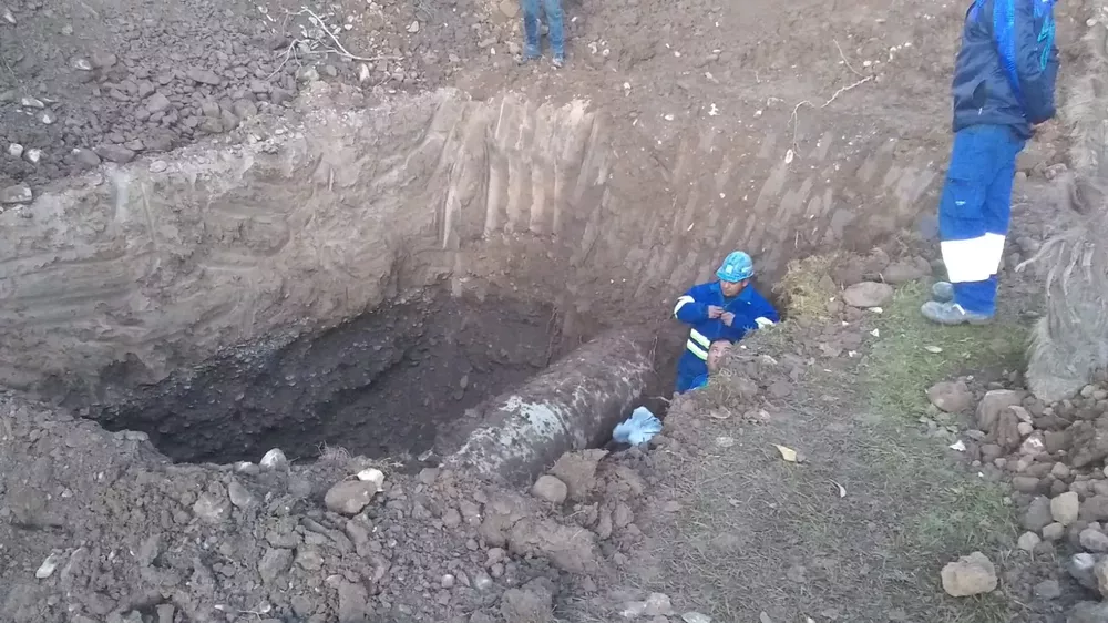 WhatsApp Image 2022-07-07 at 8.19.43 AM