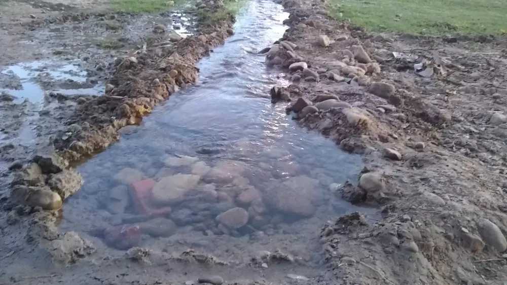 WhatsApp Image 2022-06-03 at 9.03.14 AM