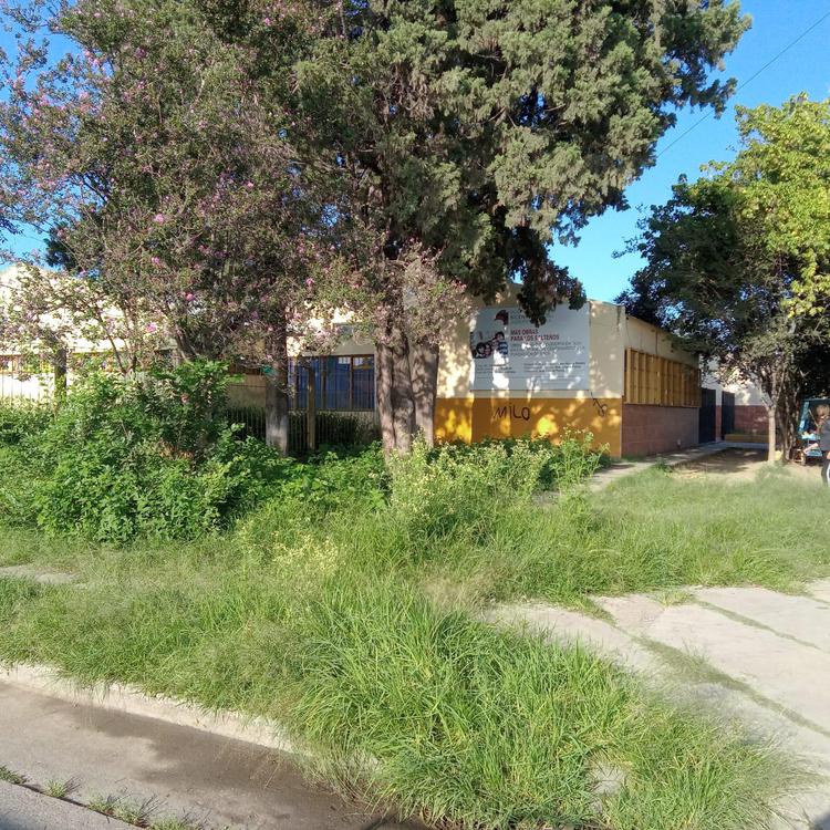 WhatsApp Image 2023-02-28 at 09.10.21 (2)