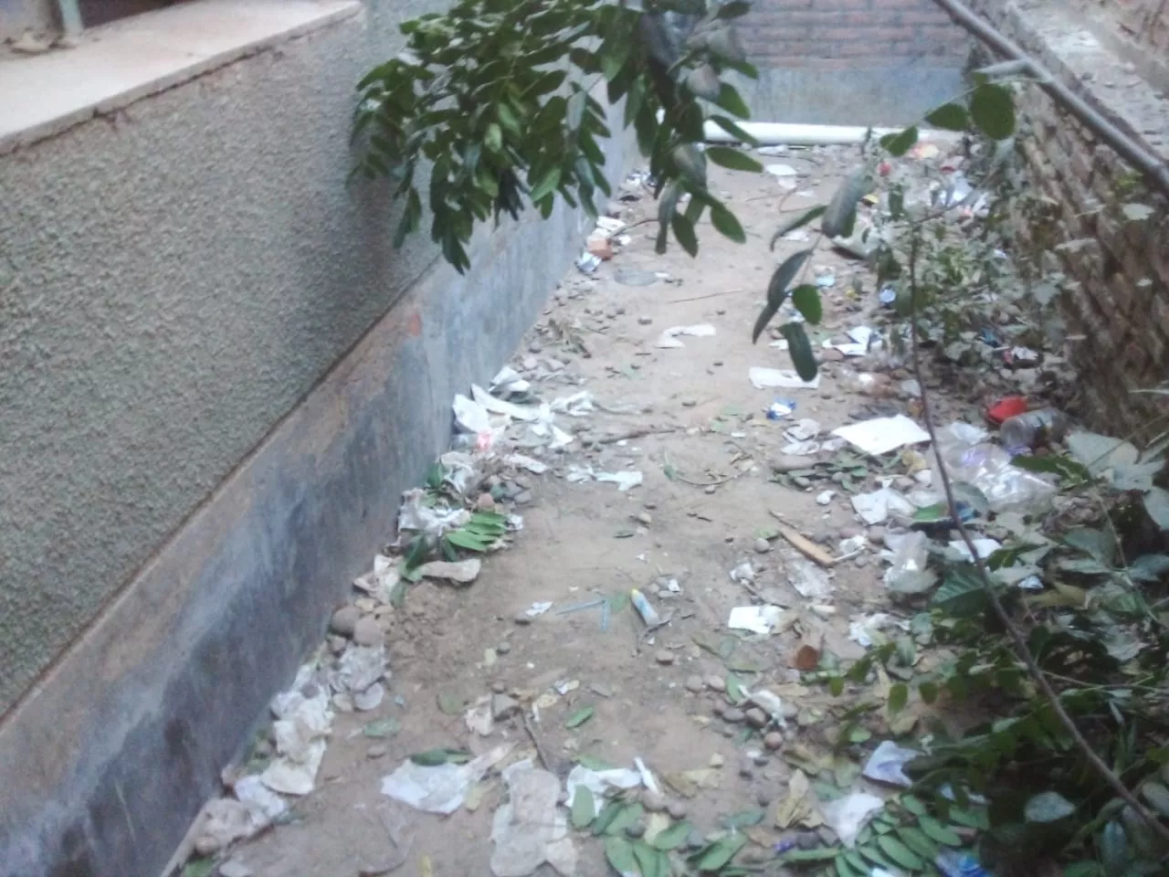 WhatsApp Image 2022-06-29 at 1.14.58 PM