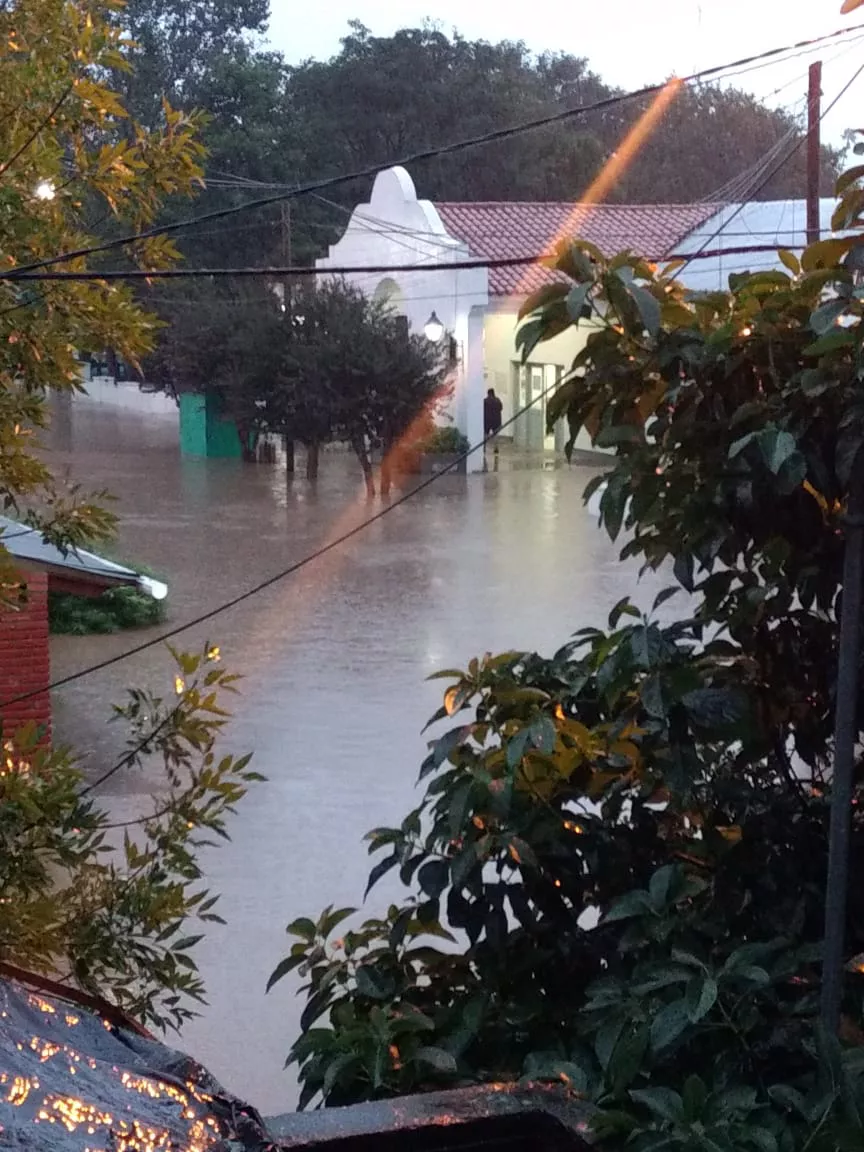 WhatsApp Image 2022-03-10 at 08.02.14