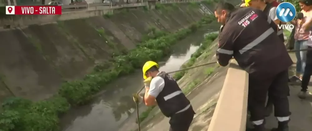 Screenshot 2023-01-31 103349