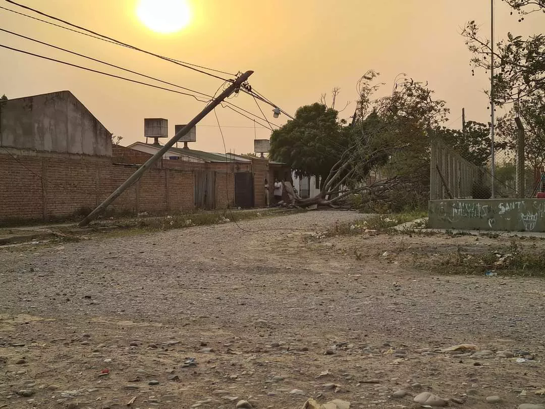 WhatsApp Image 2022-10-31 at 06.28.33