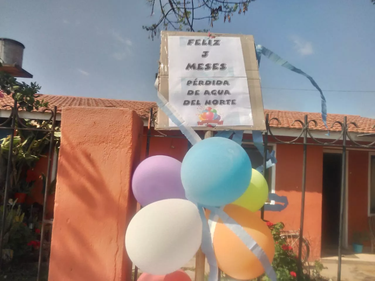 WhatsApp Image 2022-09-28 at 09.49.26