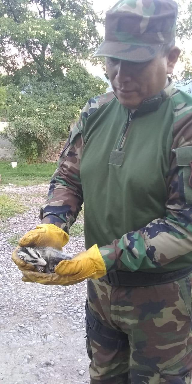 332692571_863534968082601_4648729866675486822_n